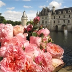 Dames de Chenonceau (Дам де Шенонсо)